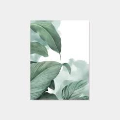 Klast Home Láminas>Harapan