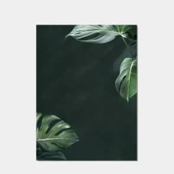 Klast Home Láminas>Negara