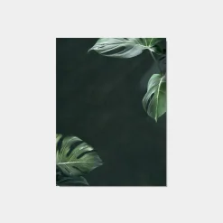 Klast Home Láminas>Negara