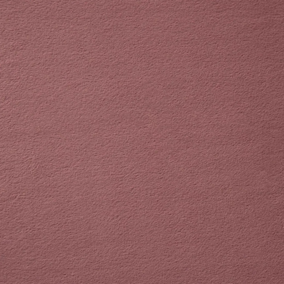 Klast Home Sillas De Comedor Y Cocina>Olivia